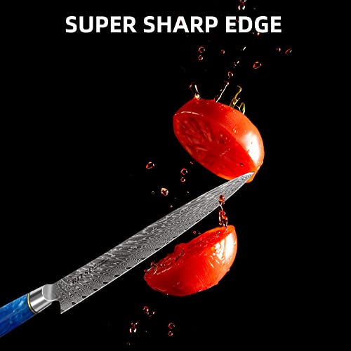 8'' AUS-10 Damascus Steel Japanese Chef Knife