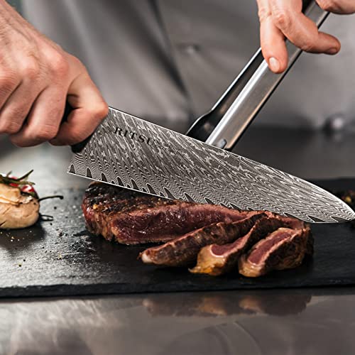 8'' AUS-10 Damascus Steel Japanese Chef Knife