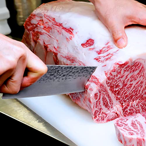 8'' Damascus Chef's Knife with Hammered Texture Pattern